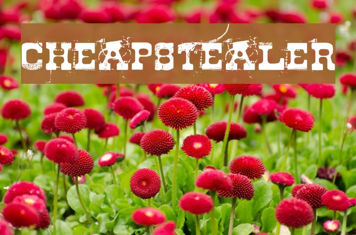 Cheapstealer Font examples