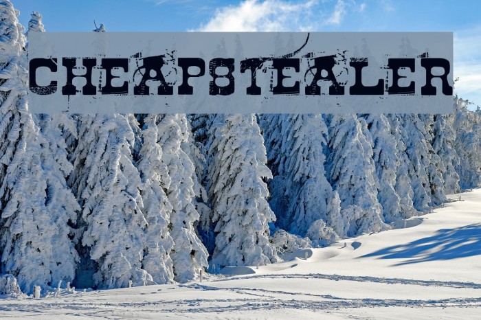 Cheapstealer Font examples