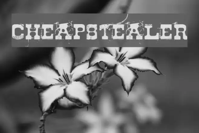 Cheapstealer Font examples