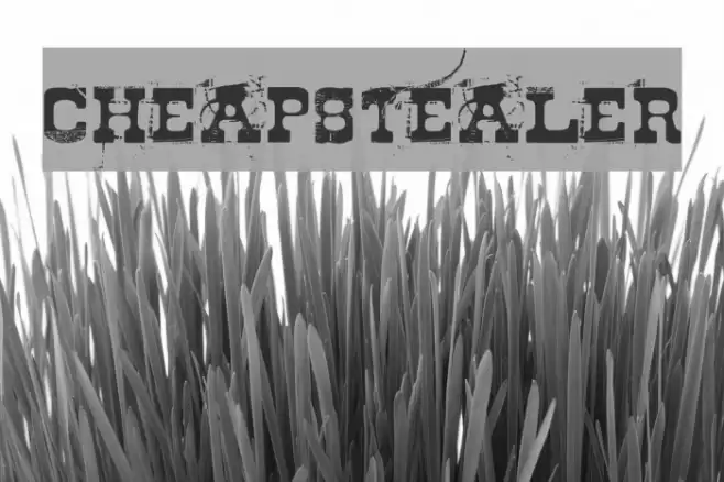 Cheapstealer Font examples