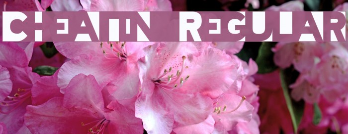 Cheatin Regular Font examples