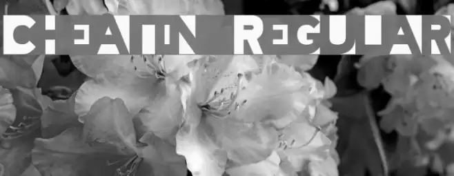 Cheatin Regular Font examples