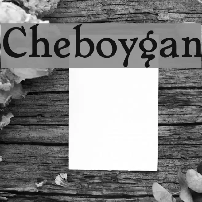 Cheboygan Font examples