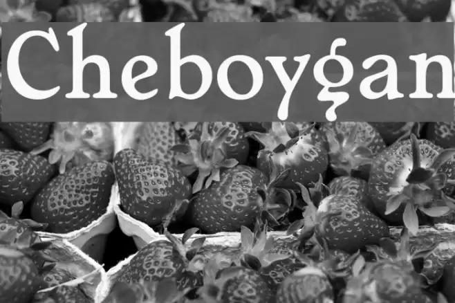 Cheboygan Font examples