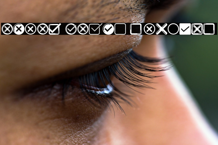 Check Icons Regular Example 1