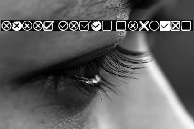 Check Icons Regular フォント examples