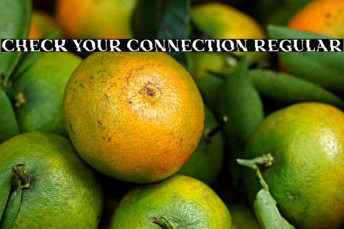 Check Your Connection Regular Example 2