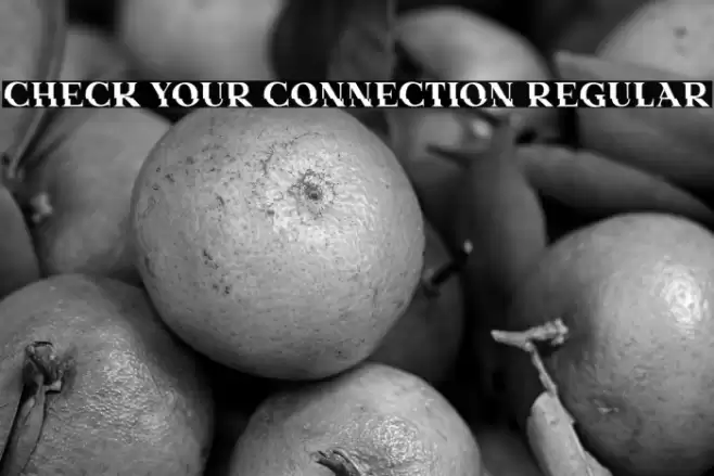 Check Your Connection Regular Font examples