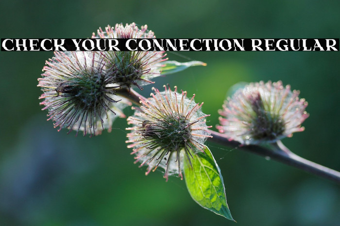 Check Your Connection Regular Example 3