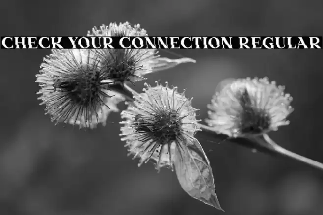 Check Your Connection Regular Font examples