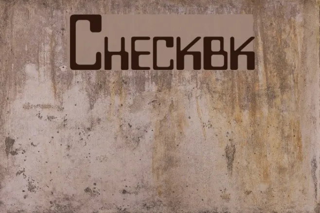 Checkbook Example 2
