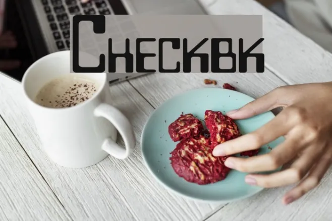 Checkbook Example 3