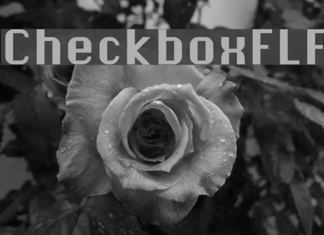 CheckboxFLF Font examples