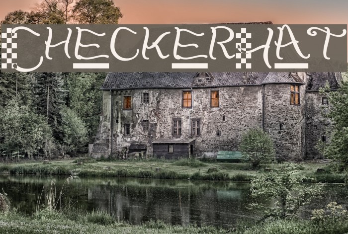 CheckerHat Example 1