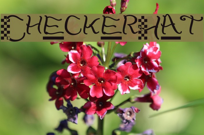 CheckerHat Example 3