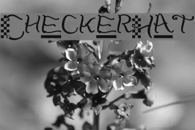 CheckerHat Font examples