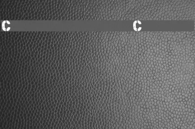 Checkpoint Charlie Font examples