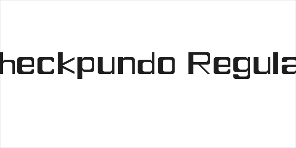 Checkpundo Regular Logo