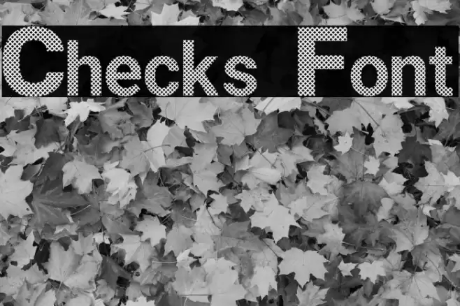 Checks Font Font examples