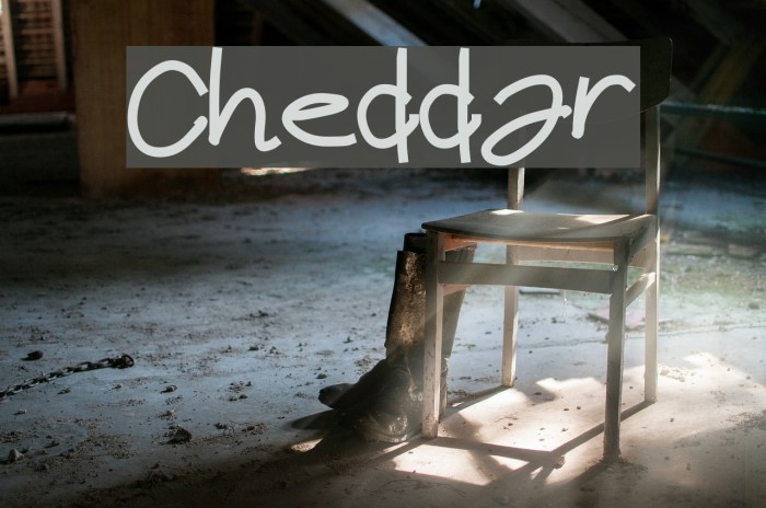 Cheddar Font examples