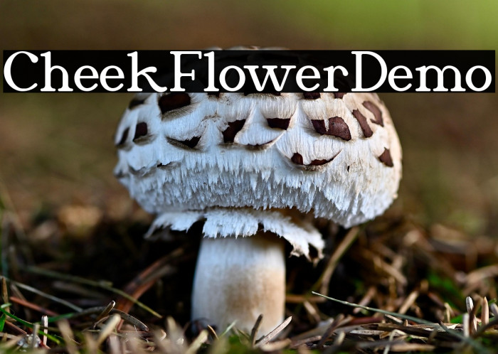 Cheek Flower Demo Example 3