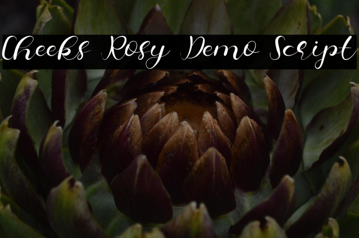 Cheeks Rosy Demo Script Example 2