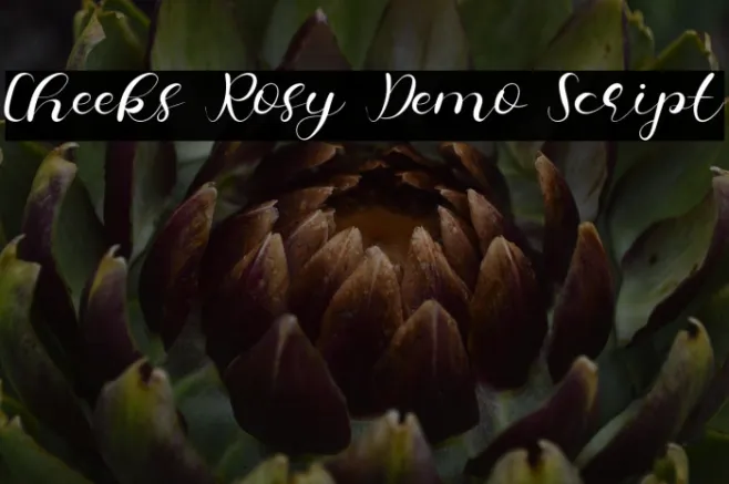 Cheeks Rosy Demo Script Example 2