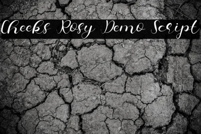 Cheeks Rosy Demo Script Example 3