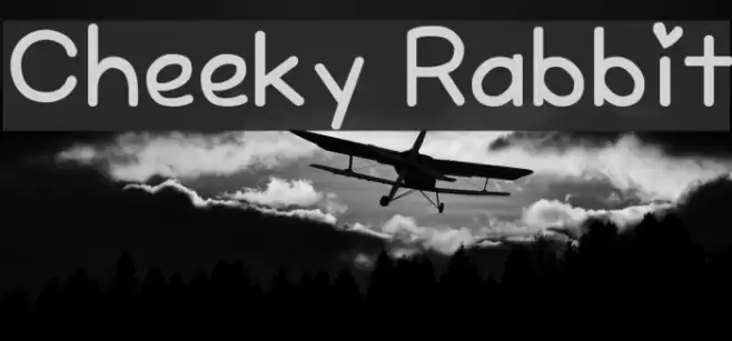 Cheeky Rabbit Font examples
