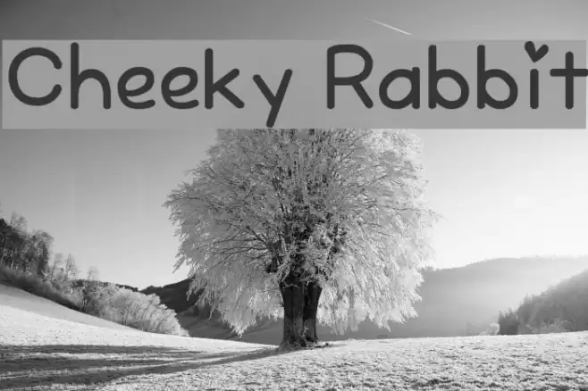 Cheeky Rabbit Font examples