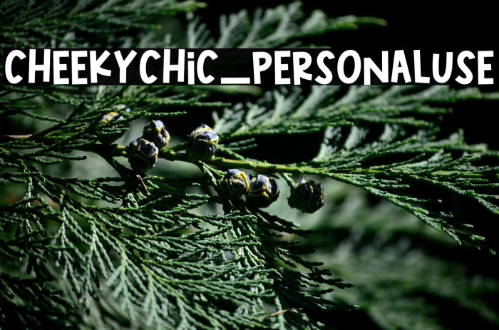 CheekyChic_PERSONALUSE Example 1