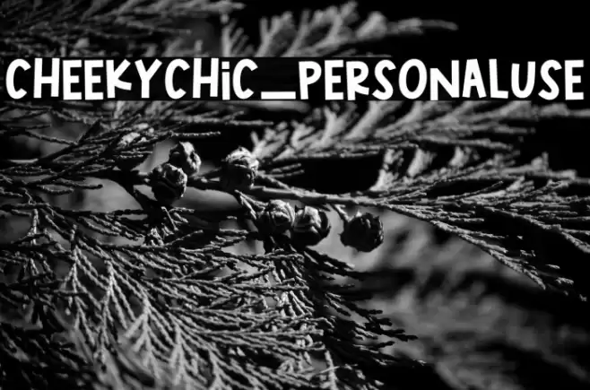 CheekyChic_PERSONALUSE Font examples