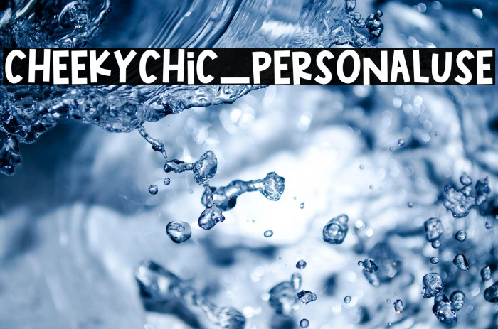 CheekyChic_PERSONALUSE Example 2