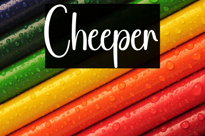 Cheeper Example 1
