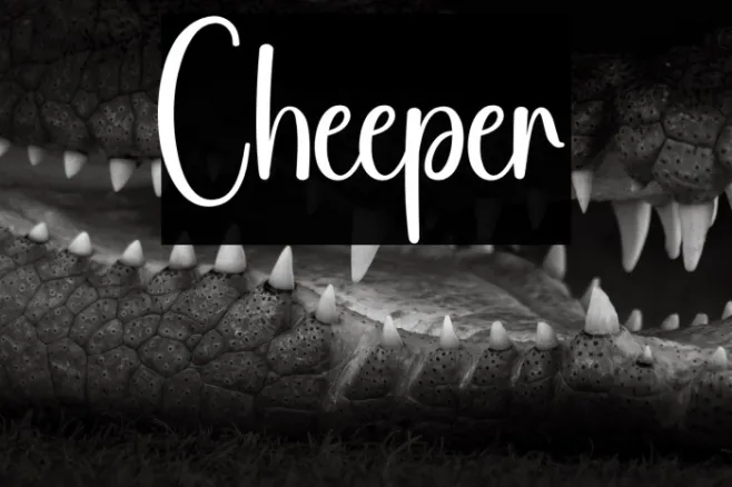 Cheeper Example 2