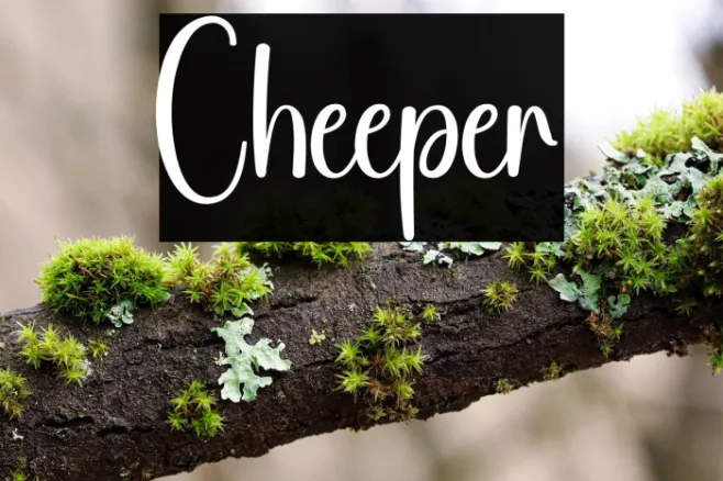 Cheeper Example 3
