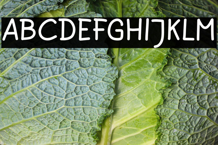 Cheerful Donuts Example 2