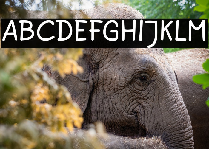 Cheerful Donuts Example 3