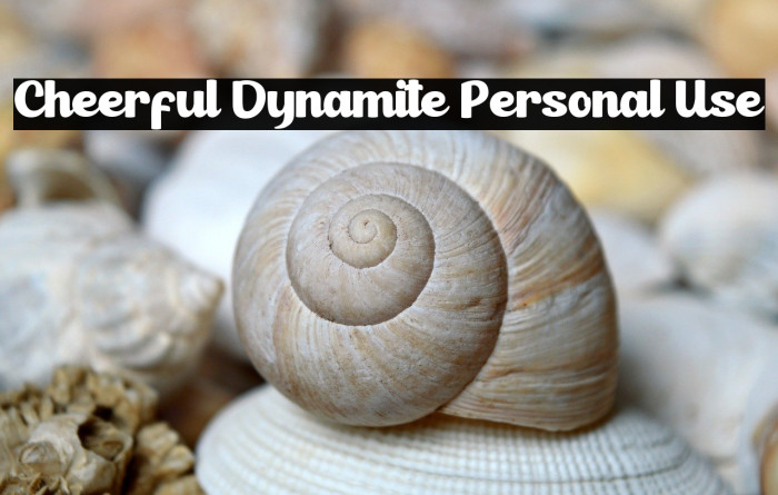 Cheerful Dynamite Personal Use Example 2