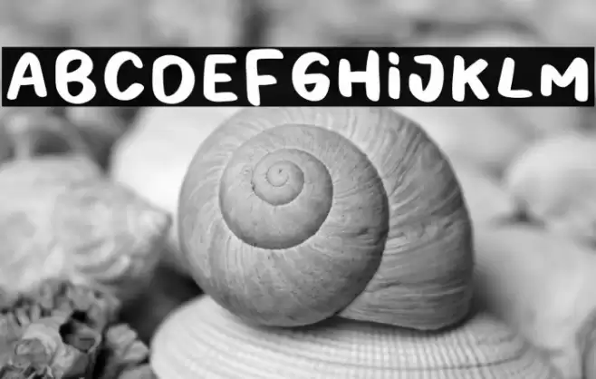 Cheerful Hilarious Regular Polices examples