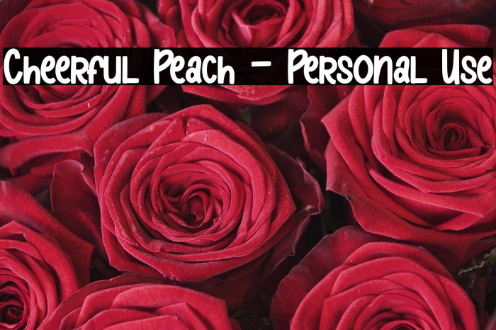 Cheerful Peach - Personal Use Example 1