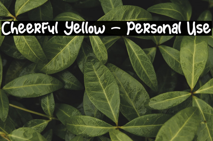 Cheerful Yellow - Personal Use Example 2