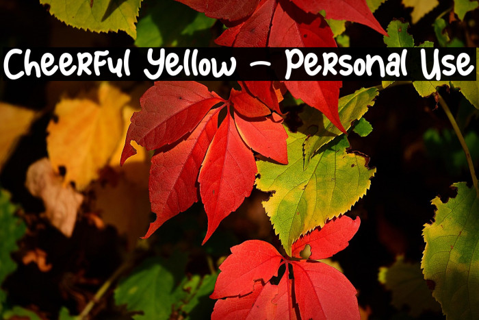 Cheerful Yellow - Personal Use Example 3