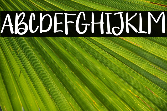 CheerfulNewyearRegular Example 1