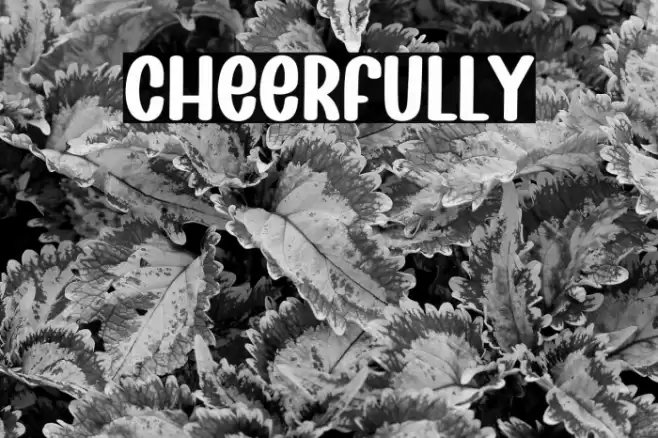 Cheerfully Font examples