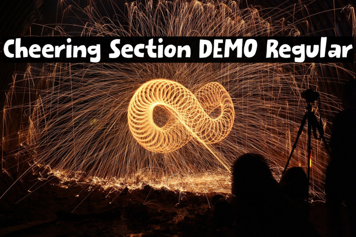 Cheering Section DEMO Regular Example 1