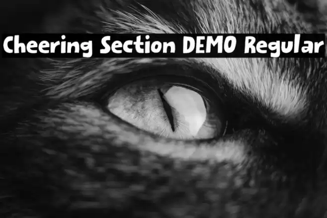Cheering Section DEMO Regular フォント examples