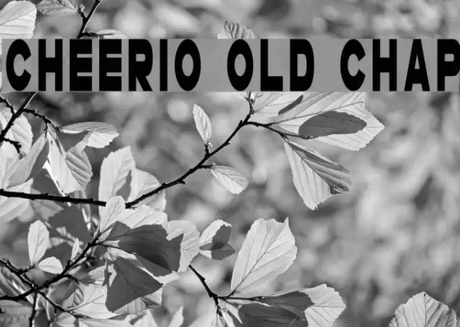 Cheerio Old Chap Font examples
