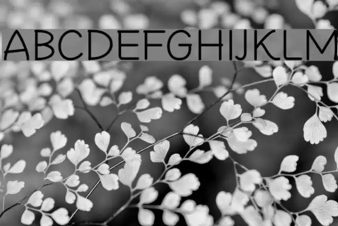 Cheeronsta Light Font examples