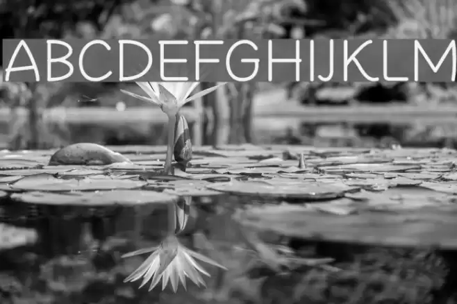 Cheeronsta Light Font examples